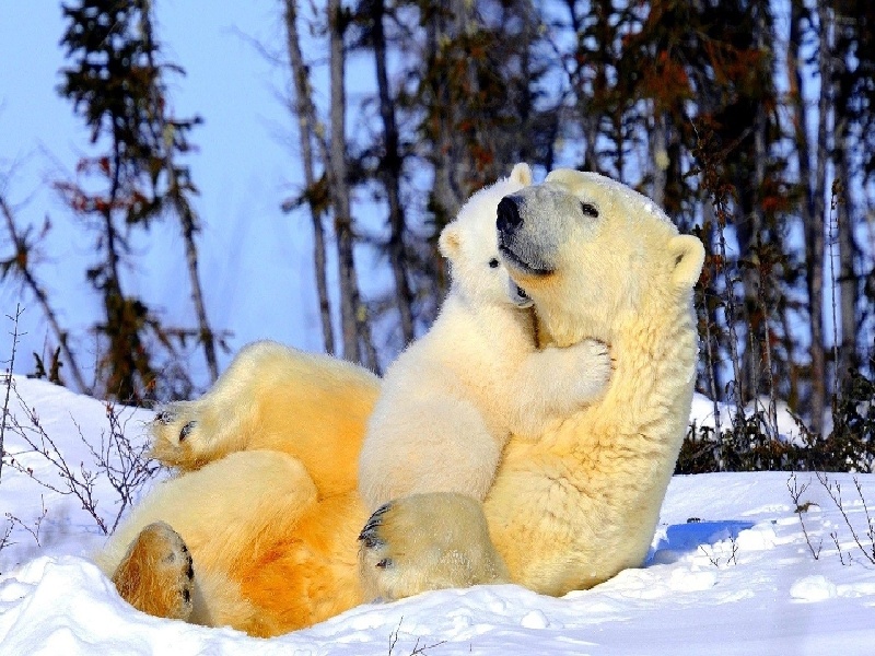 试管要局部麻醉（匡延平试管生化）